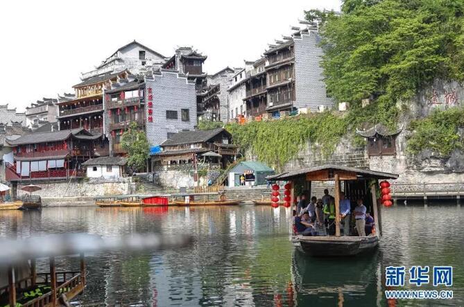 饥饿的松鼠救援
